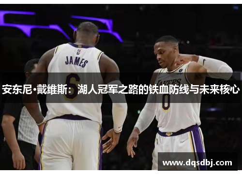 安东尼·戴维斯：湖人冠军之路的铁血防线与未来核心