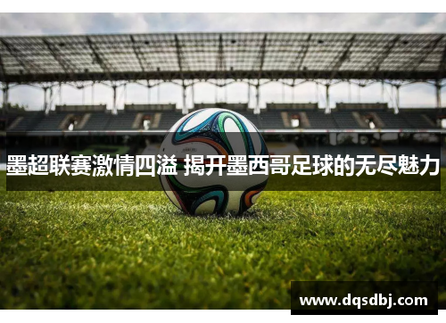 墨超联赛激情四溢 揭开墨西哥足球的无尽魅力